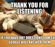 Image result for Thank You Any Questions Cat
