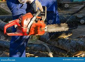 Image result for Lumberjack Working