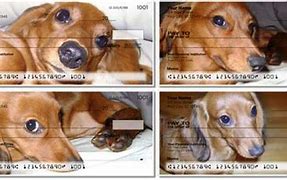 Image result for Dauschund Cashing Check
