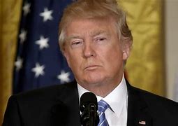 Image result for Trump Press Conference Italy President