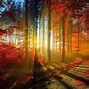 Image result for Most Beautiful PC Wallpaper