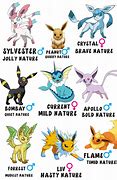 Image result for Cute Pokemon Eevee Family