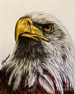 Image result for Amazing Eagle Artwork