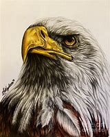 Image result for Cool Bald Eagle Drawings