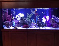 Image result for 100 Gallon Hot Water Tank