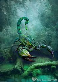 Image result for Psychedelic Scorpion