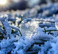 Image result for Best Rated Upright Freezers Frost Free for Family of Four