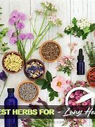 Image result for Herbs for Lung Health