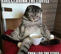 Image result for Funny Coffee Drinker