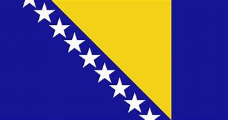 Image result for bosnia herzegovina flag