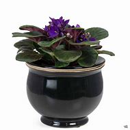 Image result for African Violet Pots