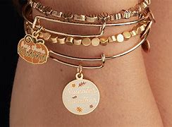 Image result for Alex And Ani 'Woof' Duo Charm Bangle, Shiny Rose Gold