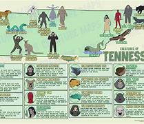 Image result for Cryptids in the Mountains of Tennessee