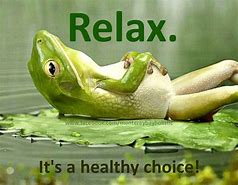 Image result for Relax Funny Quotes