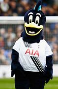 Image result for Tottenham Mascot