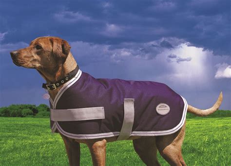 Weatherbeeta Dog Coats l Weatherbeeta Landa Navy & Silver Dog Coats