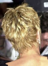 Image result for Sharon Stone Haircut Cutting Diagram