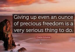 Image result for Charles Schumer Quotes