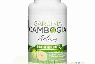 Image result for site:https://www.mlbjerseys.com.co/garcinia-cambogia-actives/