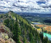 Image result for Grand Mesa National Forest Delta County Colorado