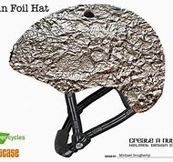 Image result for Tin Foil Hat Lunatic
