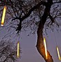 Image result for Decorative Solar Lights Outdoor