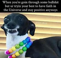 Image result for Funny Animal Stay Positive