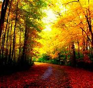 Image result for Autumn Wallpaper