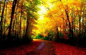 Image result for Fall PC Background