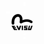 Image result for Evisu Hoodies Product