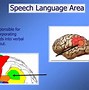 Image result for something produced by the brain or body