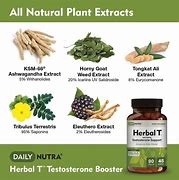 Image result for Vitamins and Testosterone