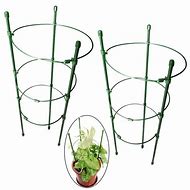 Image result for Outdoor Plant Supports for Tall Plants