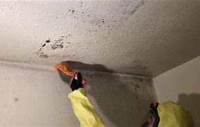 Image result for Repair Bathroom Mold