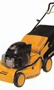 Image result for McCulloch Riding Mower