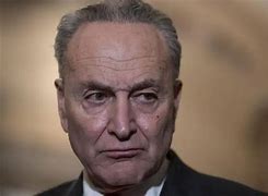 Image result for Schumer Face