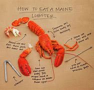 Image result for Eat Lobster