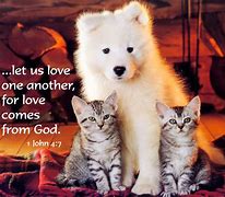 Image result for God Loves Animals