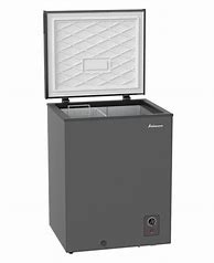 Image result for Stand Up Deep Freezer Costco