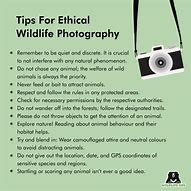 Image result for Ethical Photography