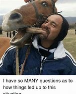 Image result for funny so many questions