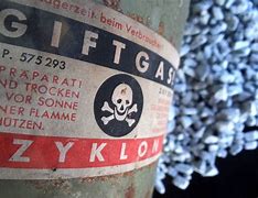 Image result for Zyklon B