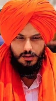 Image result for Punjab Most Wanted