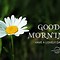 Image result for Good Morning Hope Your Day Is Going Well