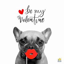 Image result for Funny Pictures About Valentine's Day