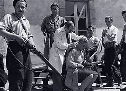 Image result for Belgian Collaborators in World War 2