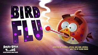 Image result for Bird Flu Angry Birds