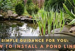 Image result for Install Pond Liners YouTube
