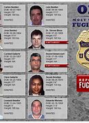 Image result for Interpol Most Wanted Criminals List