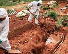 Image result for Covid 19 Dead Bodies